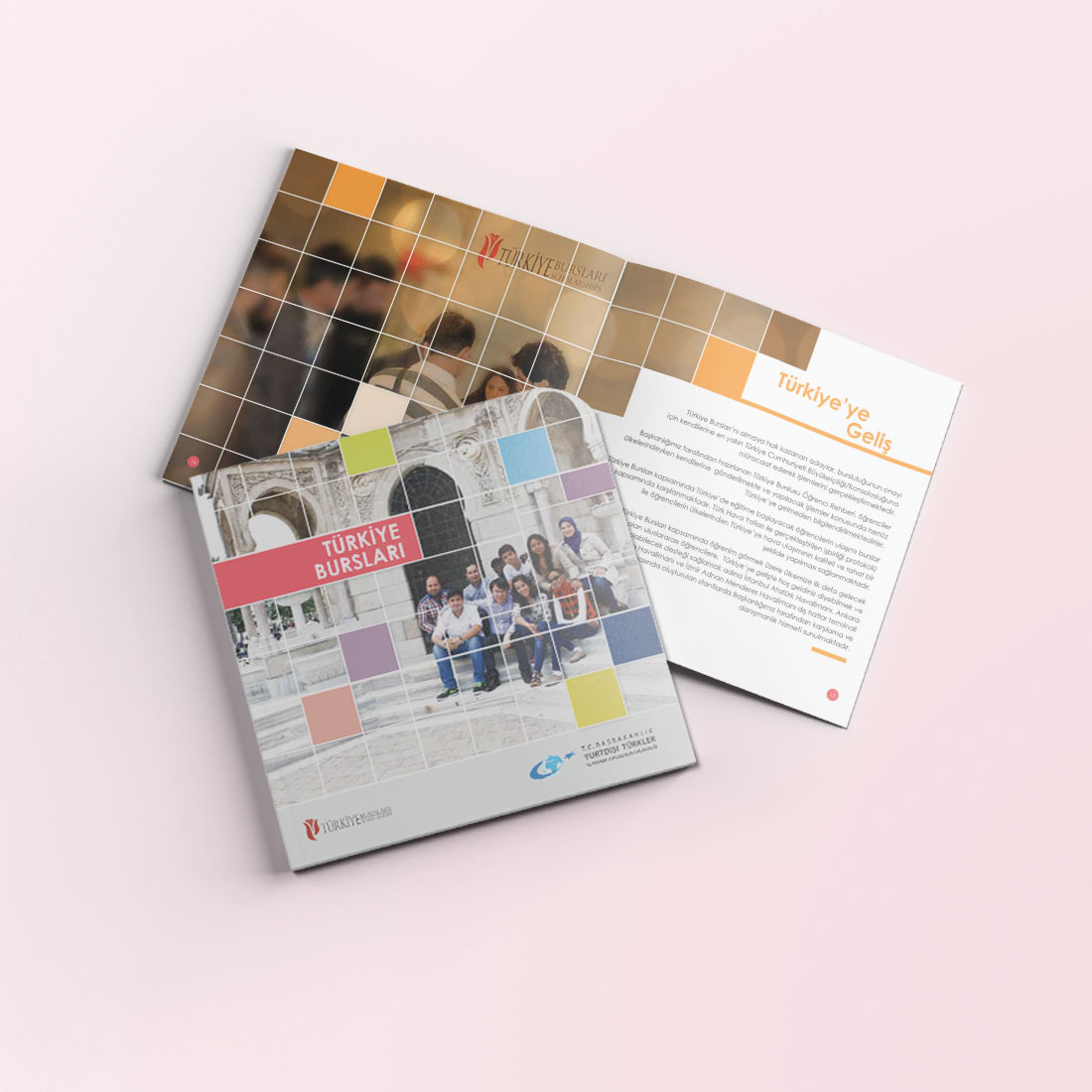 TÜRKİYE BURSLARI