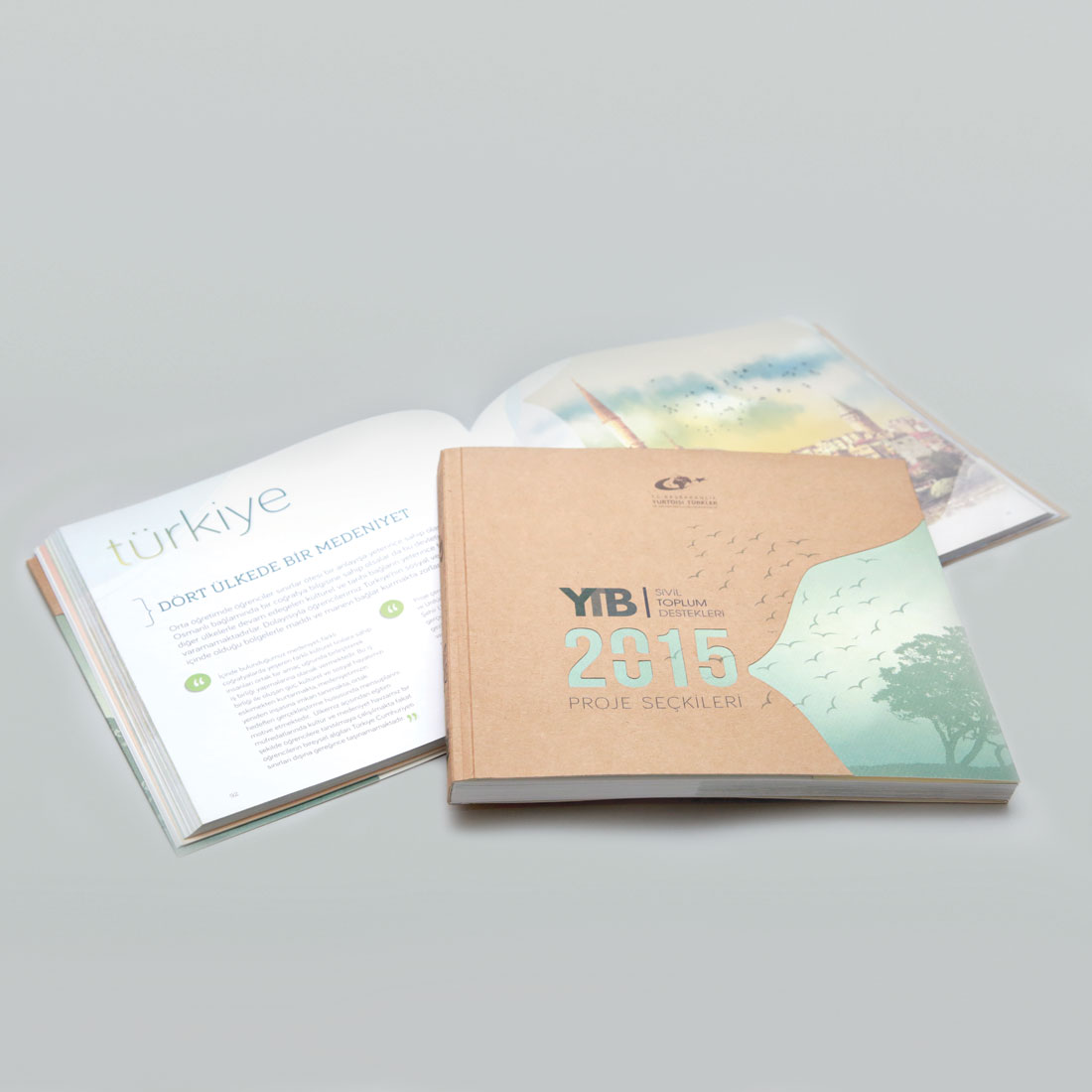 YTB PROJE SEÇKİLERİ